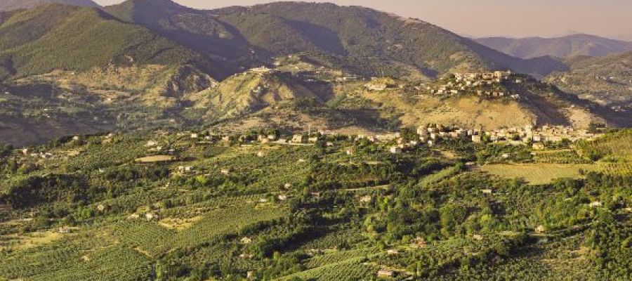 index.php?option=com_content&view=article&id=328&Itemid=288