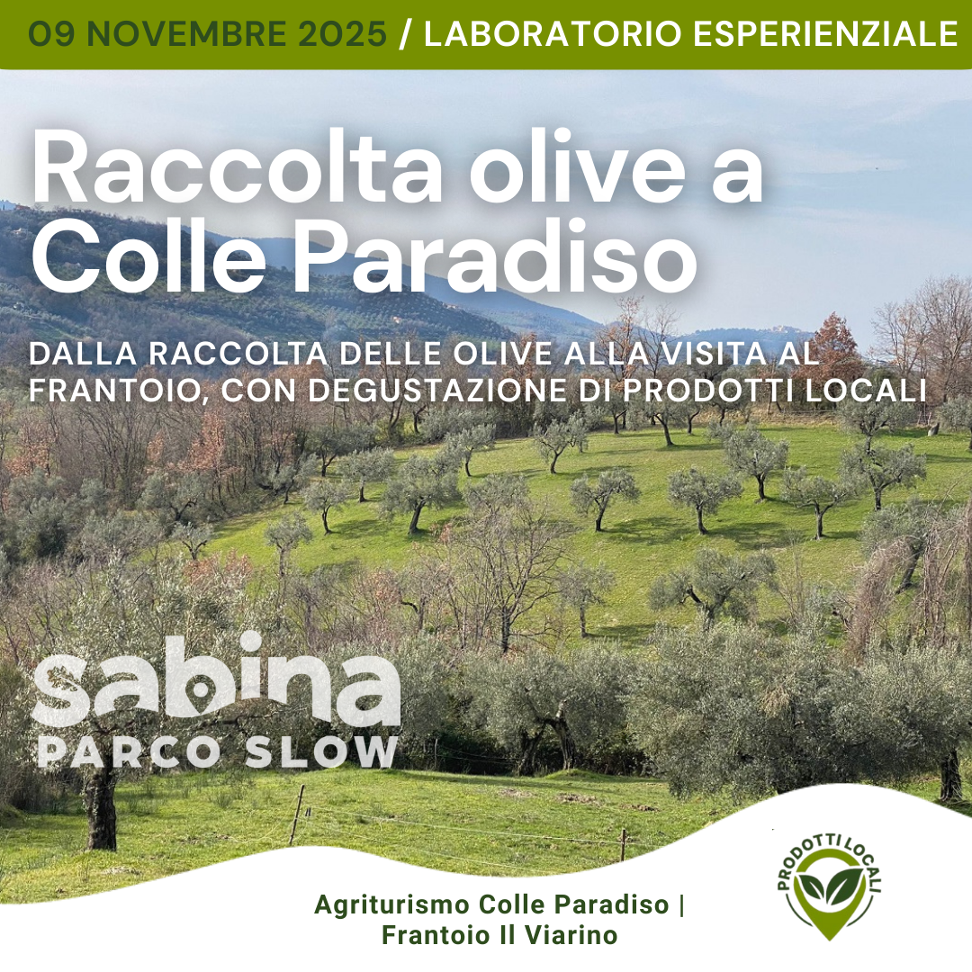 laboratorio 9 novembre 2025